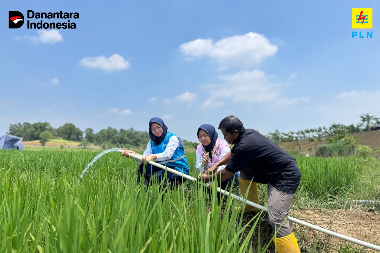 Electrifying Agriculture PLN Bantu Jaga Produktivitas Petani di Musim Kemarau